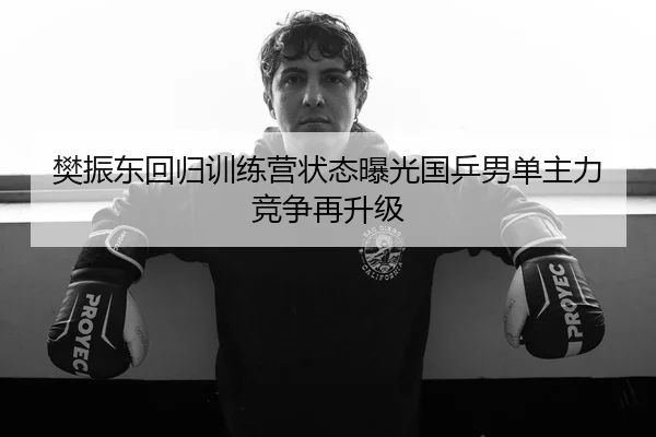 樊振东回归训练营状态曝光国乒男单主力竞争再升级